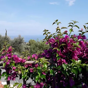Il Porto Di Benny Alassio